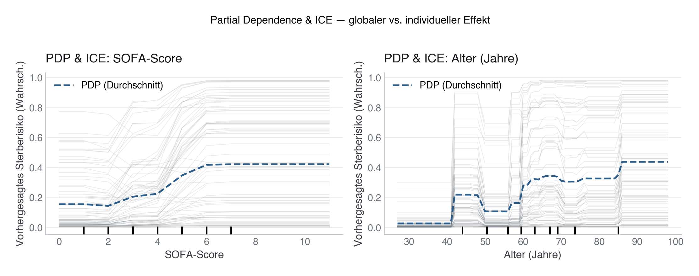 Partial Dependence und ICE für sofa_score (links) und Alter (rechts). Die fette Linie zeigt den PDP (Durchschnitt), dünne Linien einzelne Patient:innen. Kreuzende ICE-Linien weisen auf Interaktionen hin.